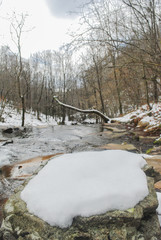 Paisaje invernal