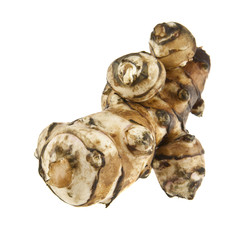 Jerusalem artichoke