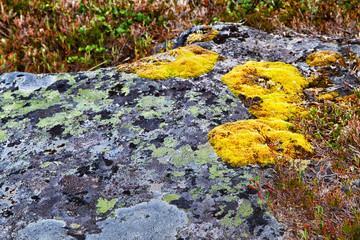 Landscape northern FInland