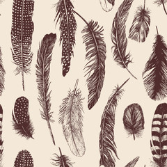 Hand drawn vintage pattern with feathers. Vector.