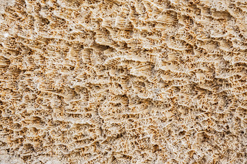 Old stone wall of limestone