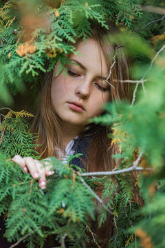 Portrait of a girl in the branches of a cypress