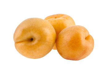 apricots