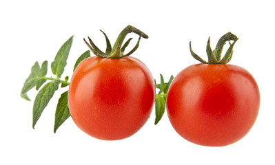 tomatos