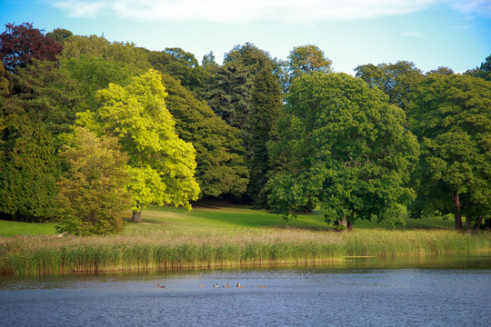 Beautiful Gisselfeld park