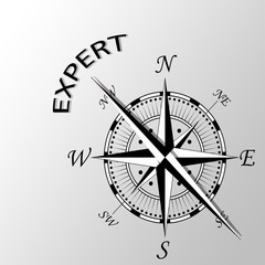 Illustration of expert written aside compass