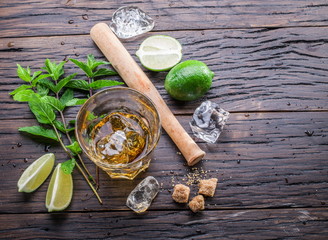 Mojito cocktail ingredients.