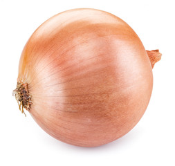 Bulb onion isolated on a white background.