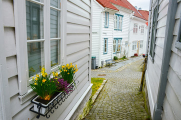Street with white wooden houses in old centre of Stavanger - Norway - architecture background. Tulip and daffodil flowers in windows