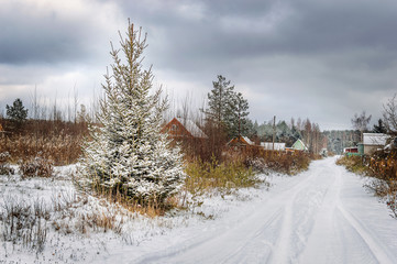 Obraz premium Winter day in the village. Russia