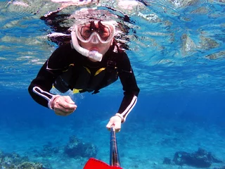 Deurstickers japanse ishigaki-snorkel © cassis