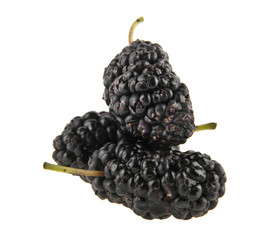 mulberries