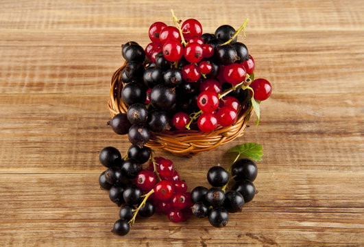 berries currants