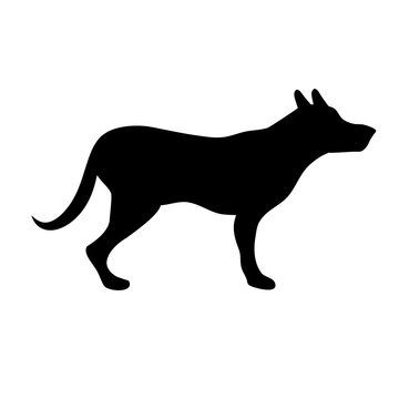 silhouette of a dog standing on a white background.
