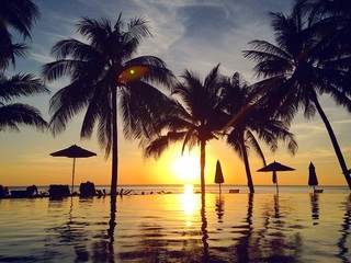 Obraz premium Beautiful tropical landscape at sunset with palm trees and infinity swimming pool