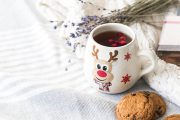 white cup with warming tea and red berries on wooled shawl with oaten cookies during cold winter day 