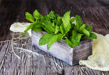 Fresh lemon balm or mint in a small wooden box