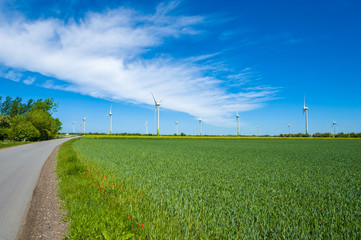 Windpark bei Schlagsdorf auf Fehmarn