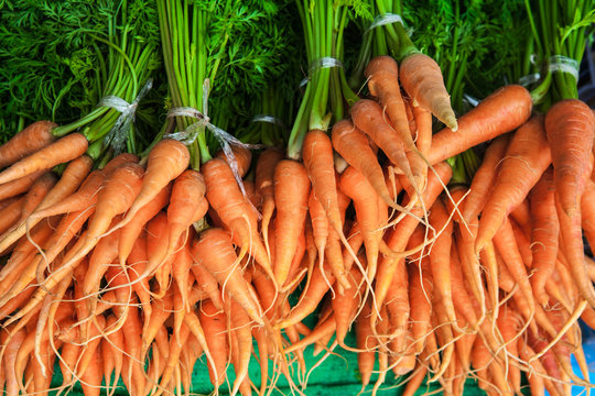  carrot
