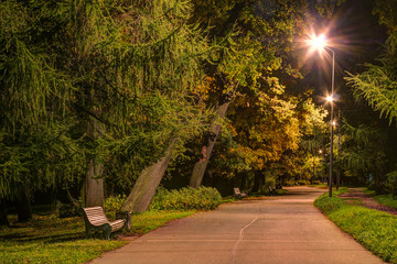 Night view of alley in the Kirov Central Culture and Leisure Park, Saint Petersburg, Russia.