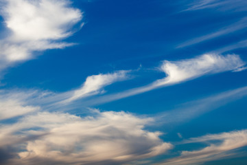 blue sky with cloud. Nice white cloud on the sky.