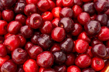 Sweet cherry background.  ripe cherries