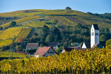 Katzenthal in the vineyard of Alsace