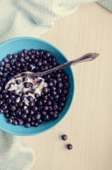 Freshly picked blueberries with cream