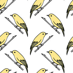 Birds seamless pattern