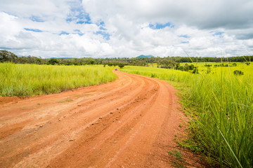meadow savanna landscape