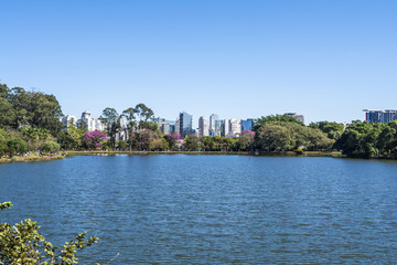 Lake in Ibirapuera Park,  Sao Paulo, Brazil