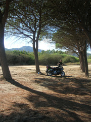 moto in Pineta Sarda