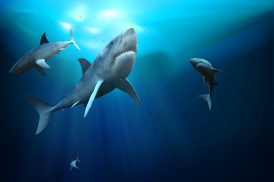 Sharks in the ocean. 3D illustration.