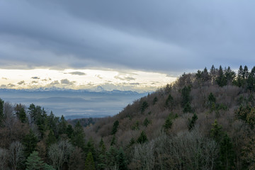 Natur mit Aussicht auf Berge bei Sonne im Wald 