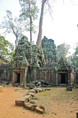 Камбоджа, Сием Рип, Ангкор – Та Прохм