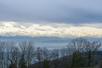 Natur mit Aussicht auf Berge bei Sonne im Wald 