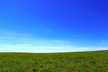 Obraz premium Grass in Meadow