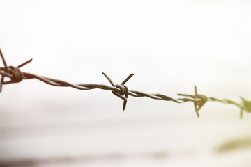 Silhouette of barbed wire
