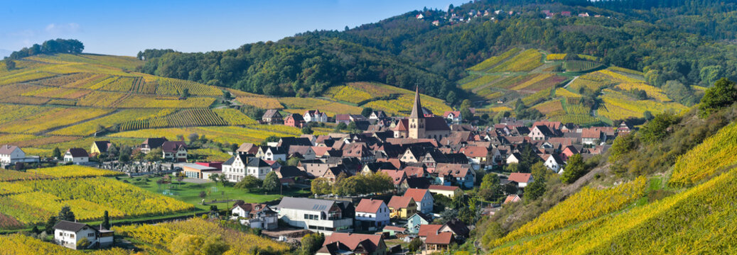 Niedermorschwih, Alsatian vineyards, Alsace, France, Europe, Autumn, Mountain,