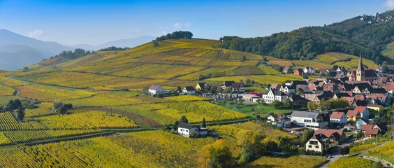Foto auf Acrylglas Niedermorschwih, Alsatian vineyards, Alsace, France, Europe, Autumn, Mountain, © FreeProd