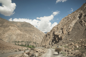Local man caring wood on his bicycle, on the Bartang Valley of Tajikistan