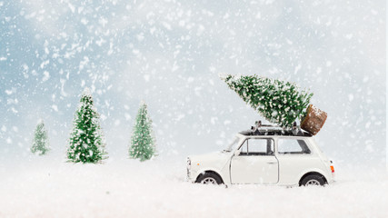 Search photos christmas tree