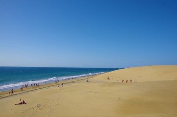 people walk by the ocean, near the dune