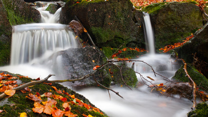 Fototapeta na wymiar Autumnal mood in the forest with small creek waterfalls. Long exposure shot with blurred silky water stream.