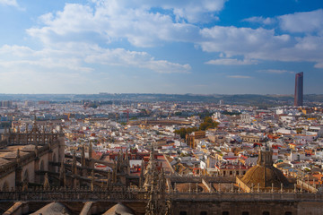 Naklejka premium Aerial view from the top of Seville Cathedral, Spain.