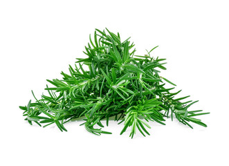 rosemary isolated on white background