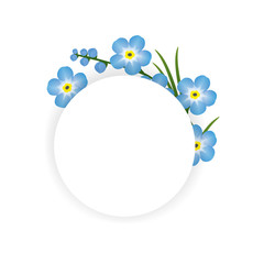 Flower - forget-me-not