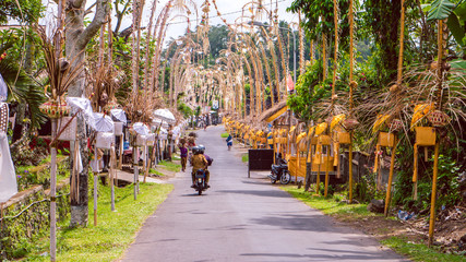 Bali Penjors, decorated bamboo poles along the village street in Sideman, Indonesia.