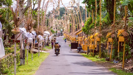 Papier Peint photo Bali Bali Penjors, poteaux de bambou décorés le long de la rue du village de Sideman, en Indonésie.
