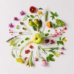 Various natural things neatly arranged in circle
